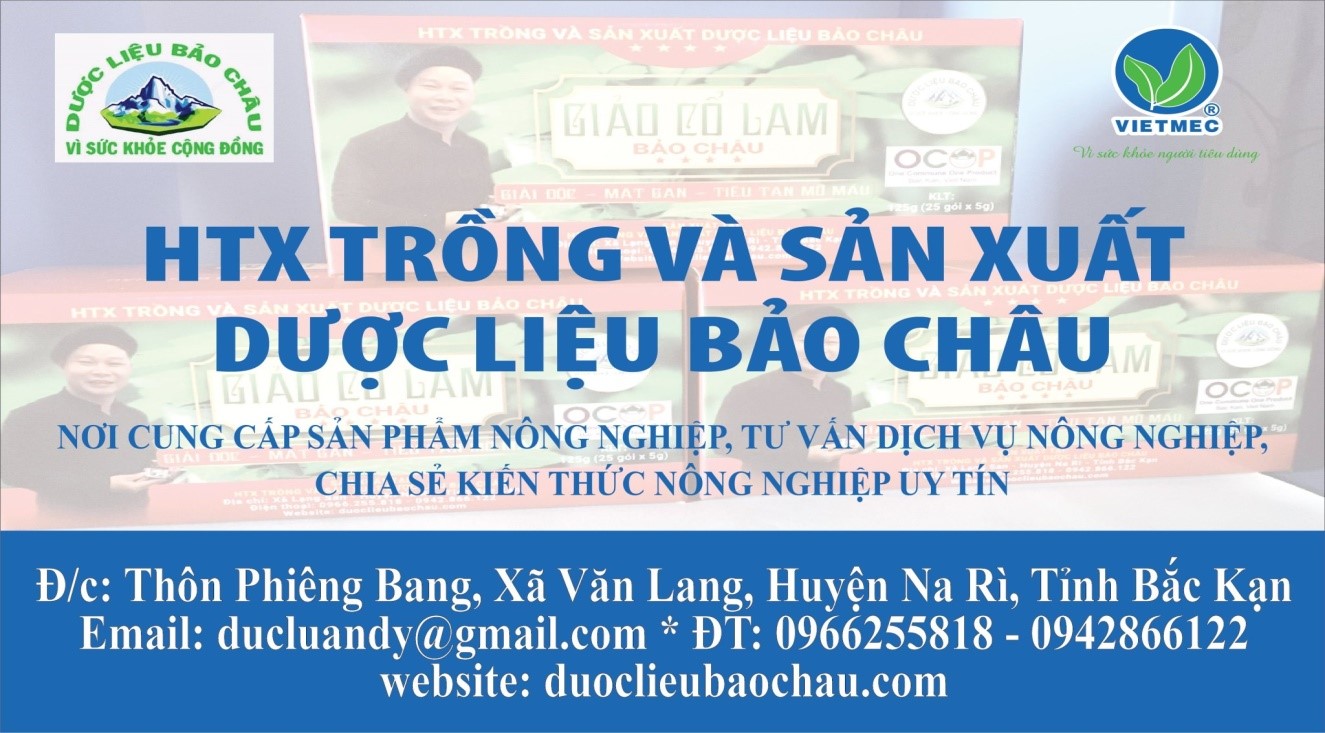 Hợp tác xã Trồng và Sản xuất Dược liệu Bảo Châu.