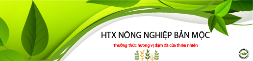 HTX NÔNG NGHIỆP BẢN MỘC